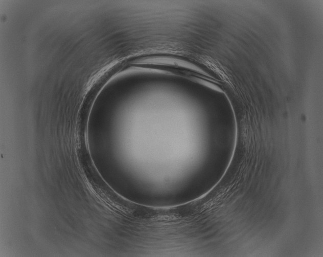 X0000077340536200611031758