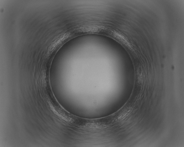 X0000077340538200611031758
