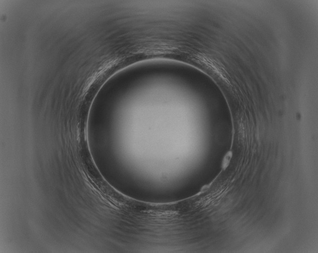 X0000077340539200611031758