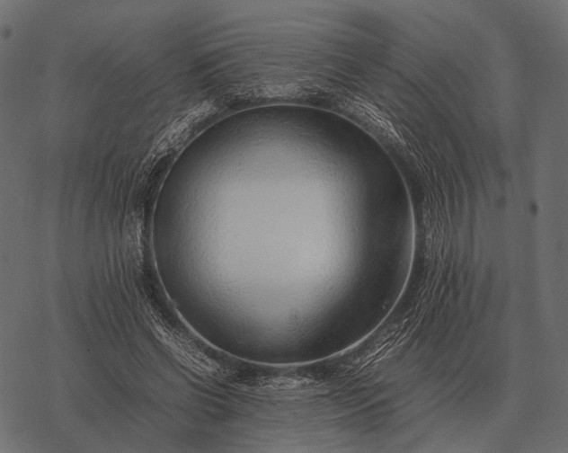 X0000077340542200611031758