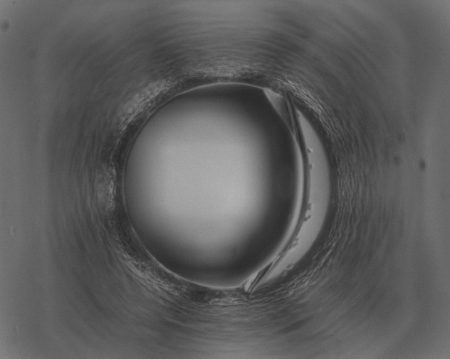 X0000077340544200611031758