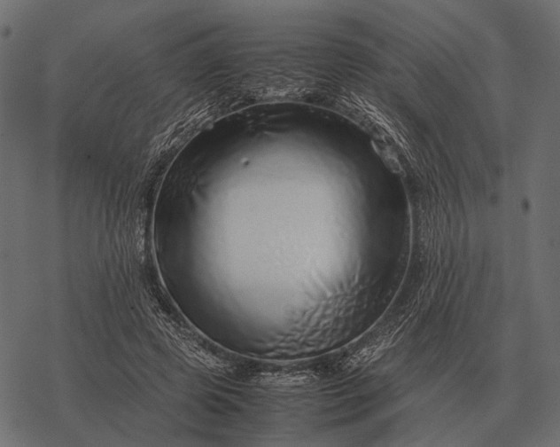 X0000077340545200611031758