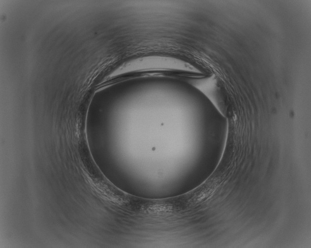 X0000077340546200611031758