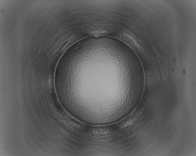 X0000077340549200611031758