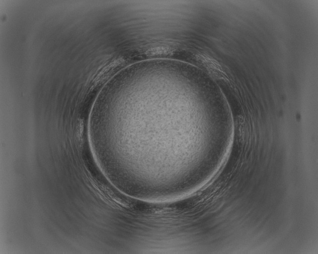 X0000077340550200611031758