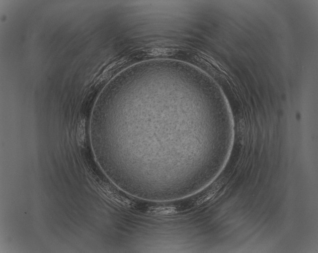 X0000077340554200611031758