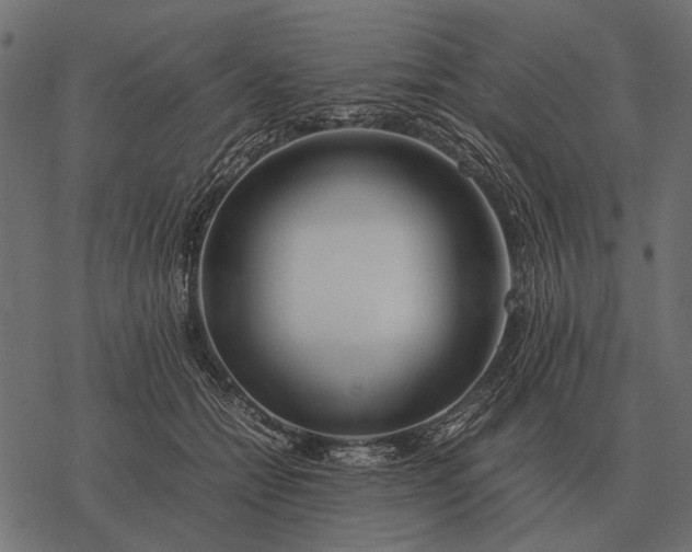 X0000077340558200611031758