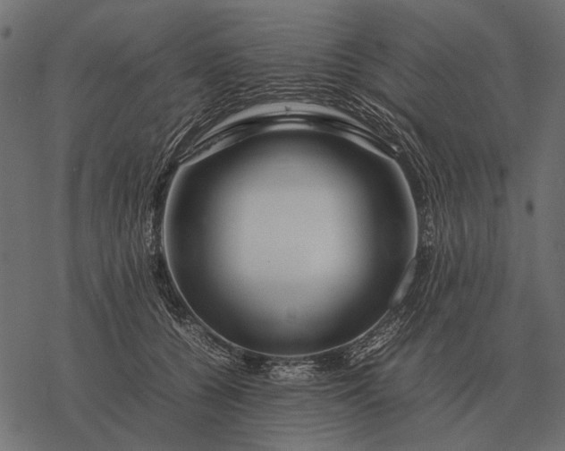 X0000077340560200611031758