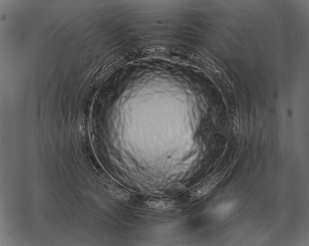 X0000077340561200611031758
