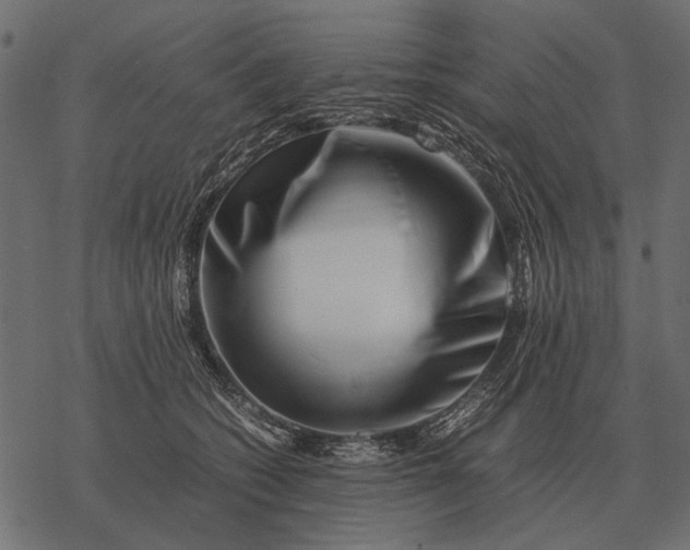 X0000077340562200611031758