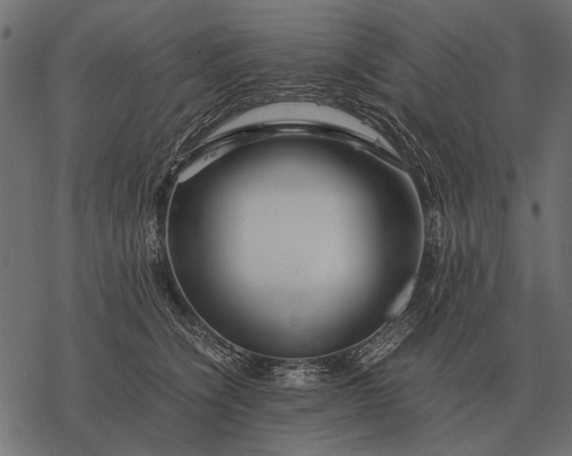 X0000077340564200611031758