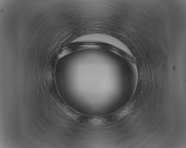 X0000077340566200611031758