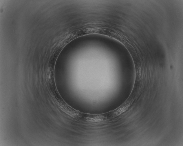 X0000077340567200611031758