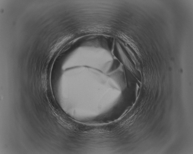 X0000077340578200611031758