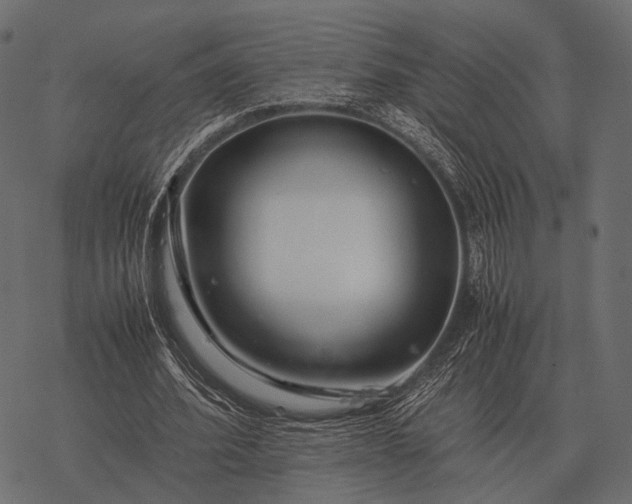 X0000077340580200611031758