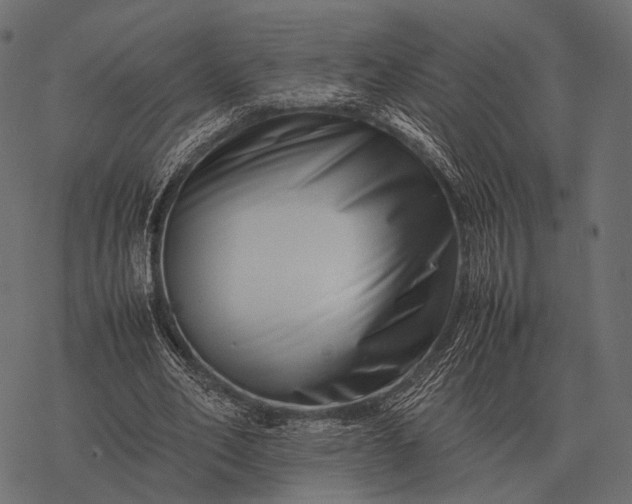 X0000077340582200611031758