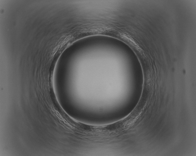X0000077340585200611031758