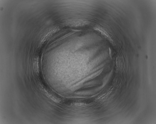 X0000077340590200611031757