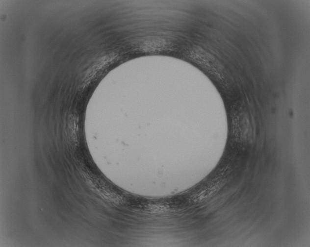 X0000077340592200611031757
