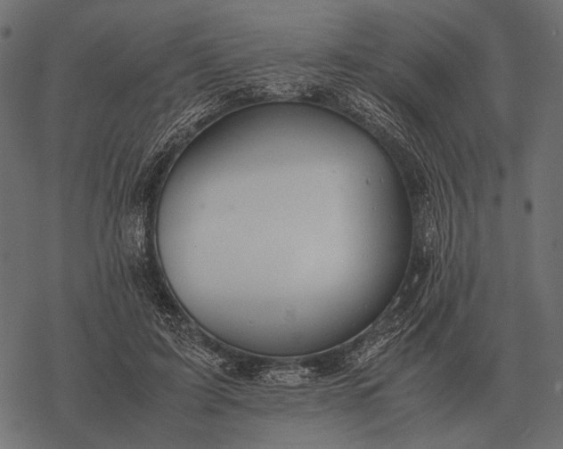 X0000077340595200611031757