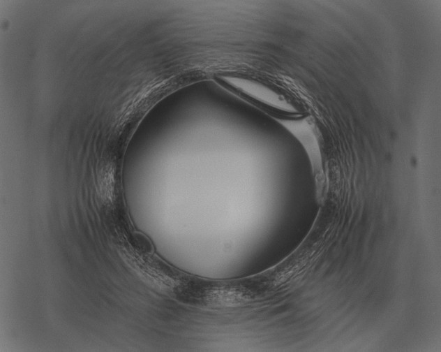 X0000077340596200611031757