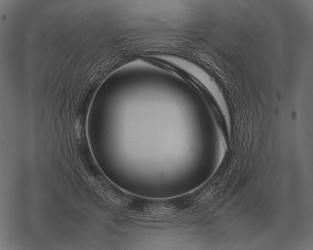 X0000077340597200611031757