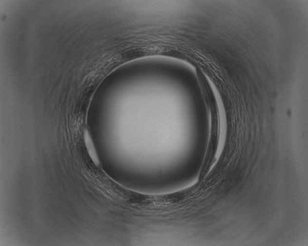 X0000077340601200611031757
