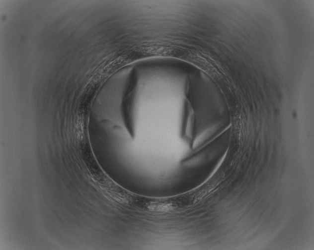 X0000077340602200611031757