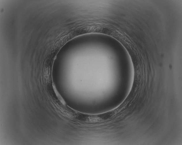 X0000077340605200611031757