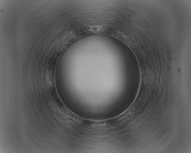 X0000077340606200611031757