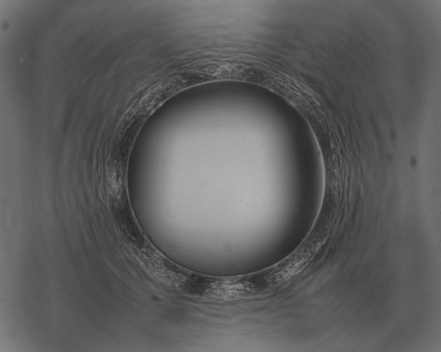 X0000077340607200611031757