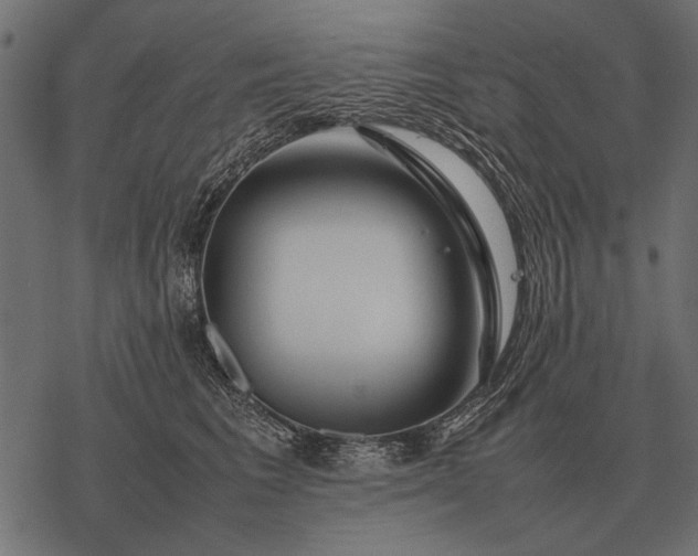 X0000077340613200611031757