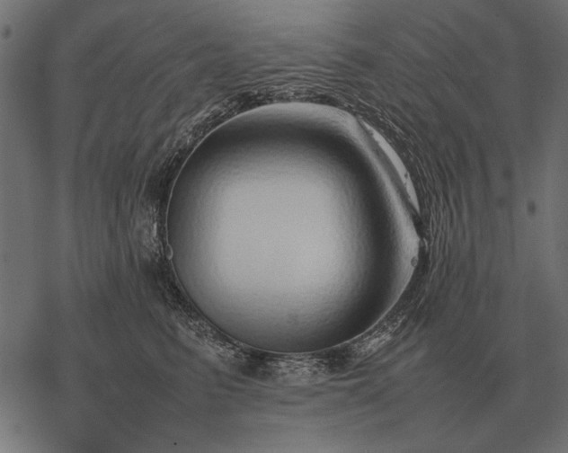 X0000077340615200611031757