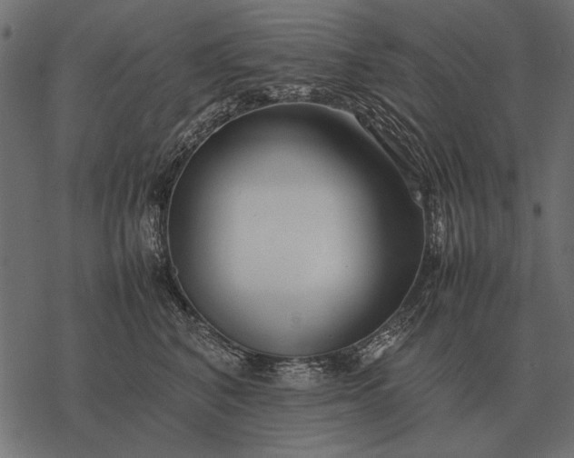 X0000077340616200611031757