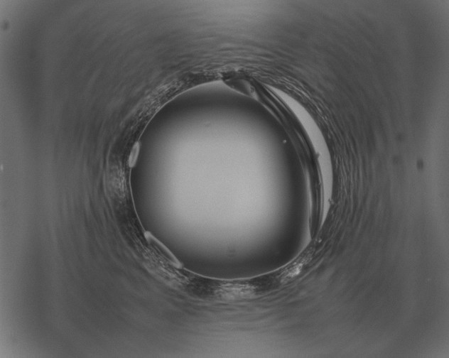 X0000077340617200611031757