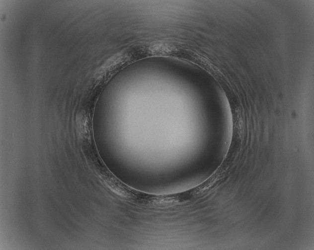 X0000077340619200611031757