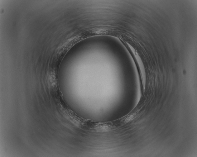 X0000077340620200611031757