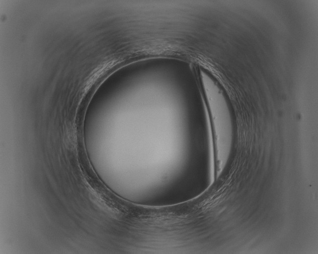 X0000077340626200611031756