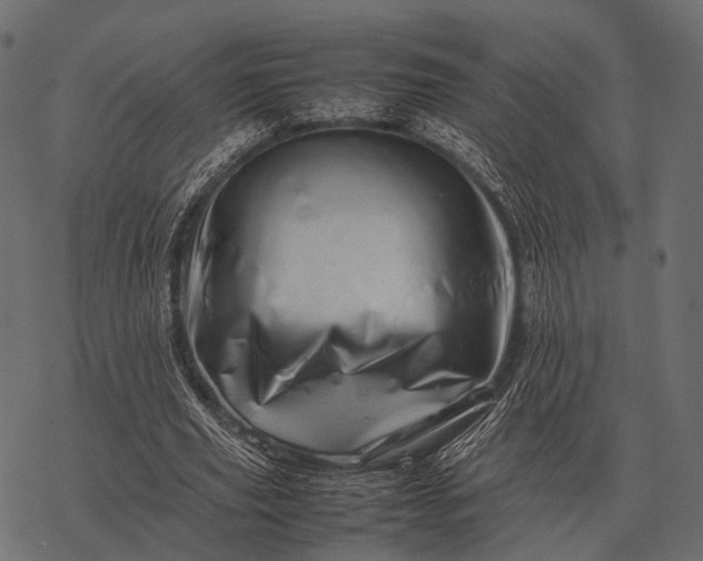X0000077340629200611031756