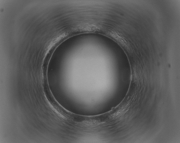 X0000077340630200611031756