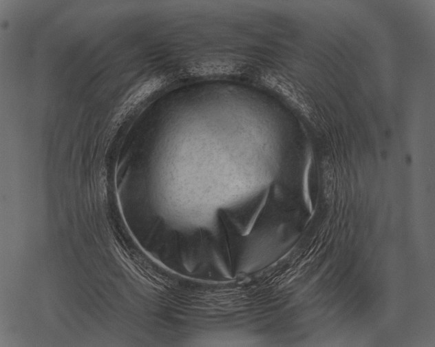X0000077340631200611031756