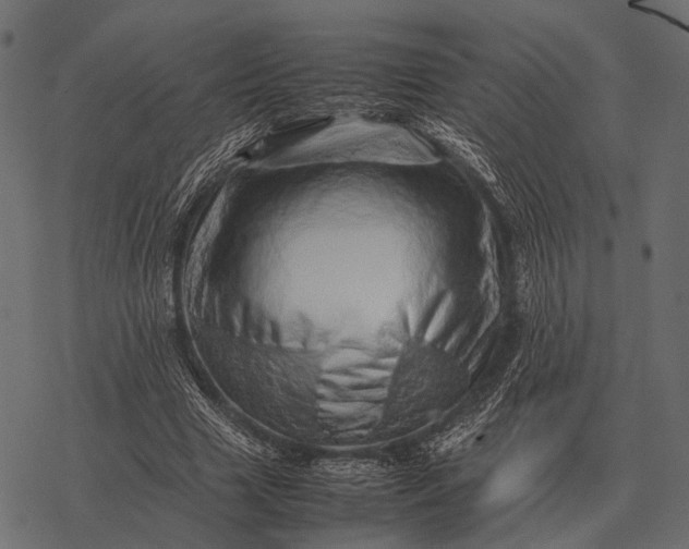X0000077340633200611031756