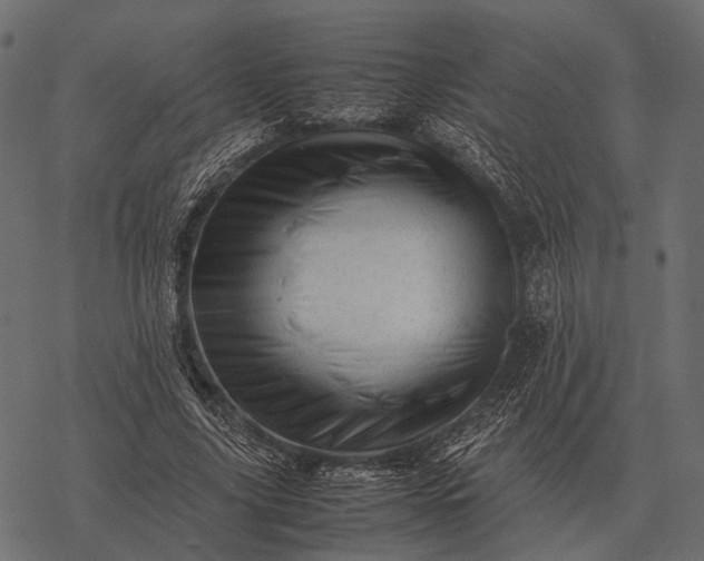 X0000077340635200611031756