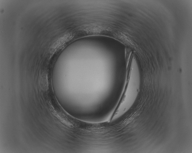 X0000077340638200611031756