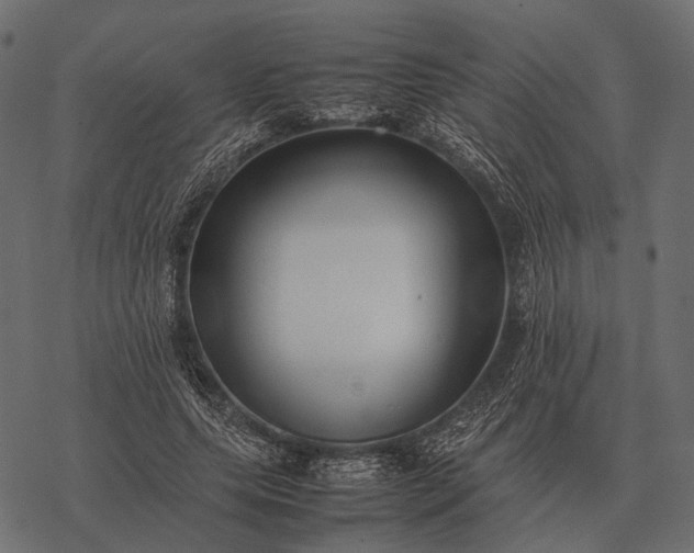 X0000077340639200611031756