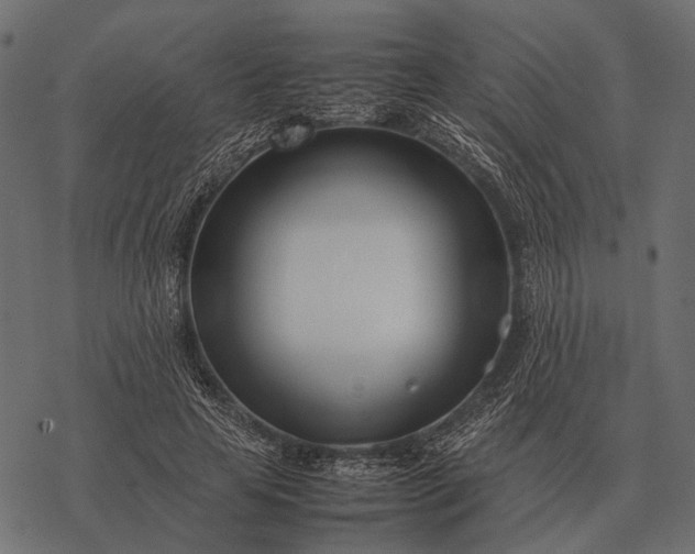 X0000077340641200611031756
