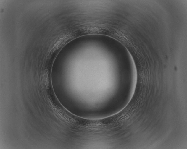 X0000077340642200611031756