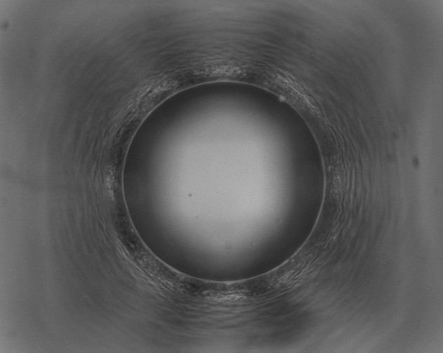X0000077340643200611031756
