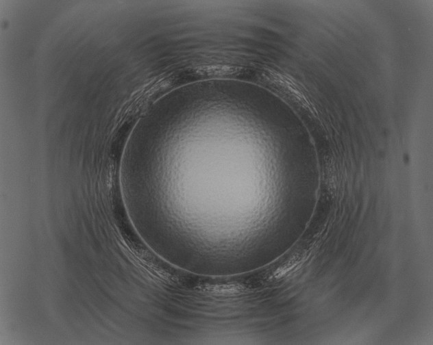 X0000077340645200611031756