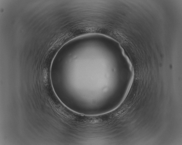 X0000077340646200611031756
